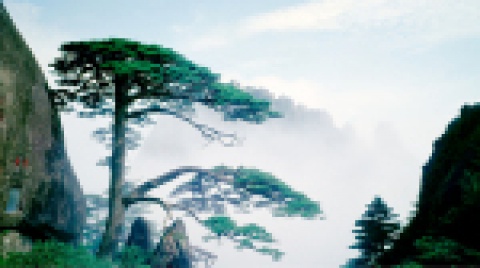 文旅开发-永信贵宾会217