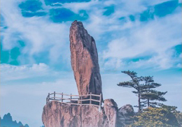 永信贵宾会217·(中国区)官网